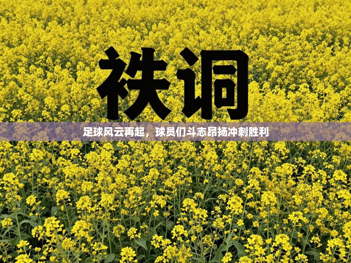 足球风云再起，球员们斗志昂扬冲刺胜利  第1张