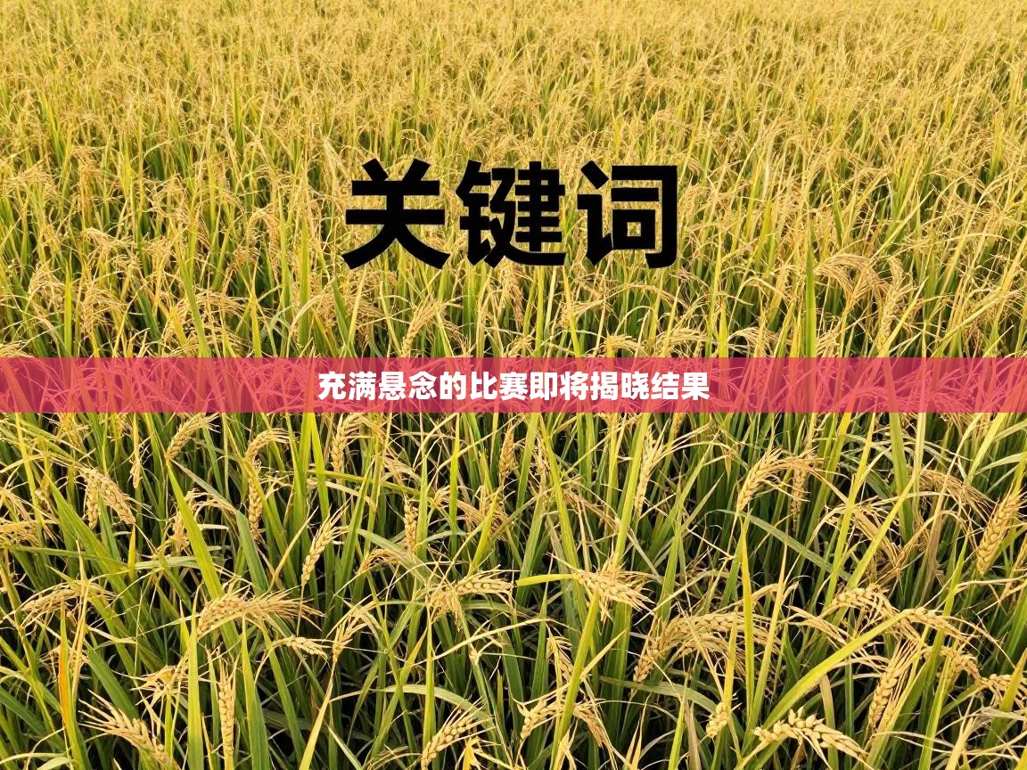 充满悬念的比赛即将揭晓结果  第1张